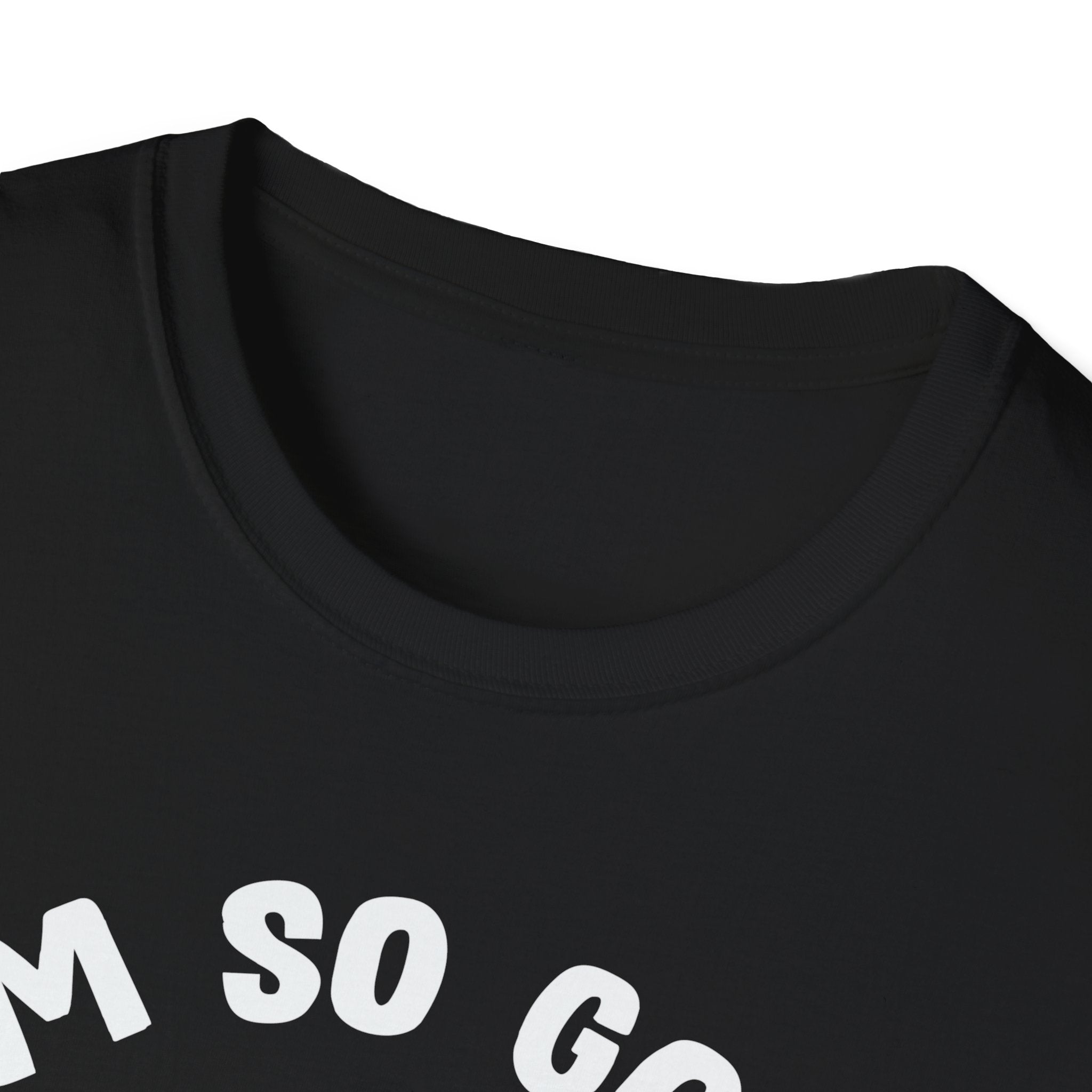 Santa’s Naughty List Legend - Unisex Premium Shirt